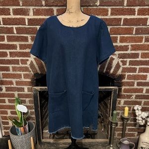 urban renewal/urban outfitters denim dress